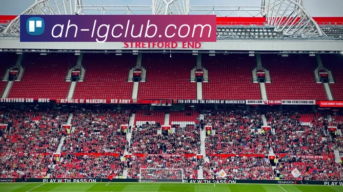 老哥俱乐部官网服务体系