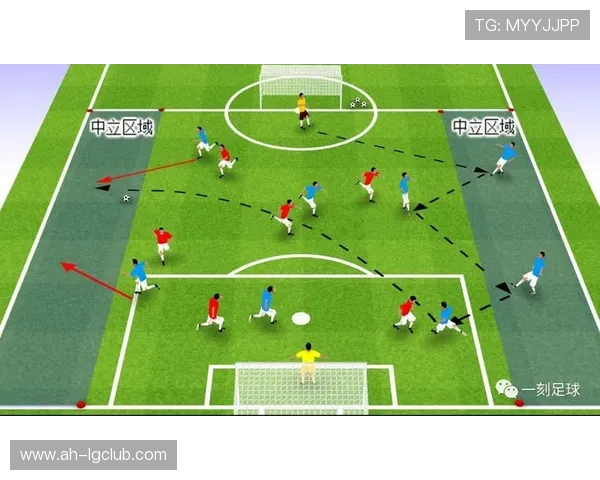 日本青少年足球训练体系中足球选择标准与发展策略研究